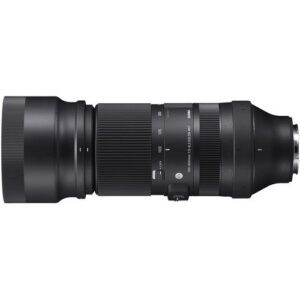 Olympus M.Zuiko Digital ED 100-400mm f/5-6.3 IS Lens